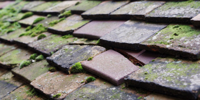 Berwick Station roof repair costs